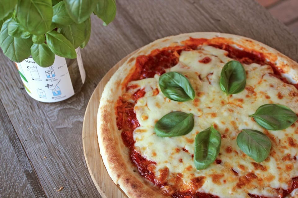 OKUTAMA+ / オクタマプラス 窯焼きピザづくり